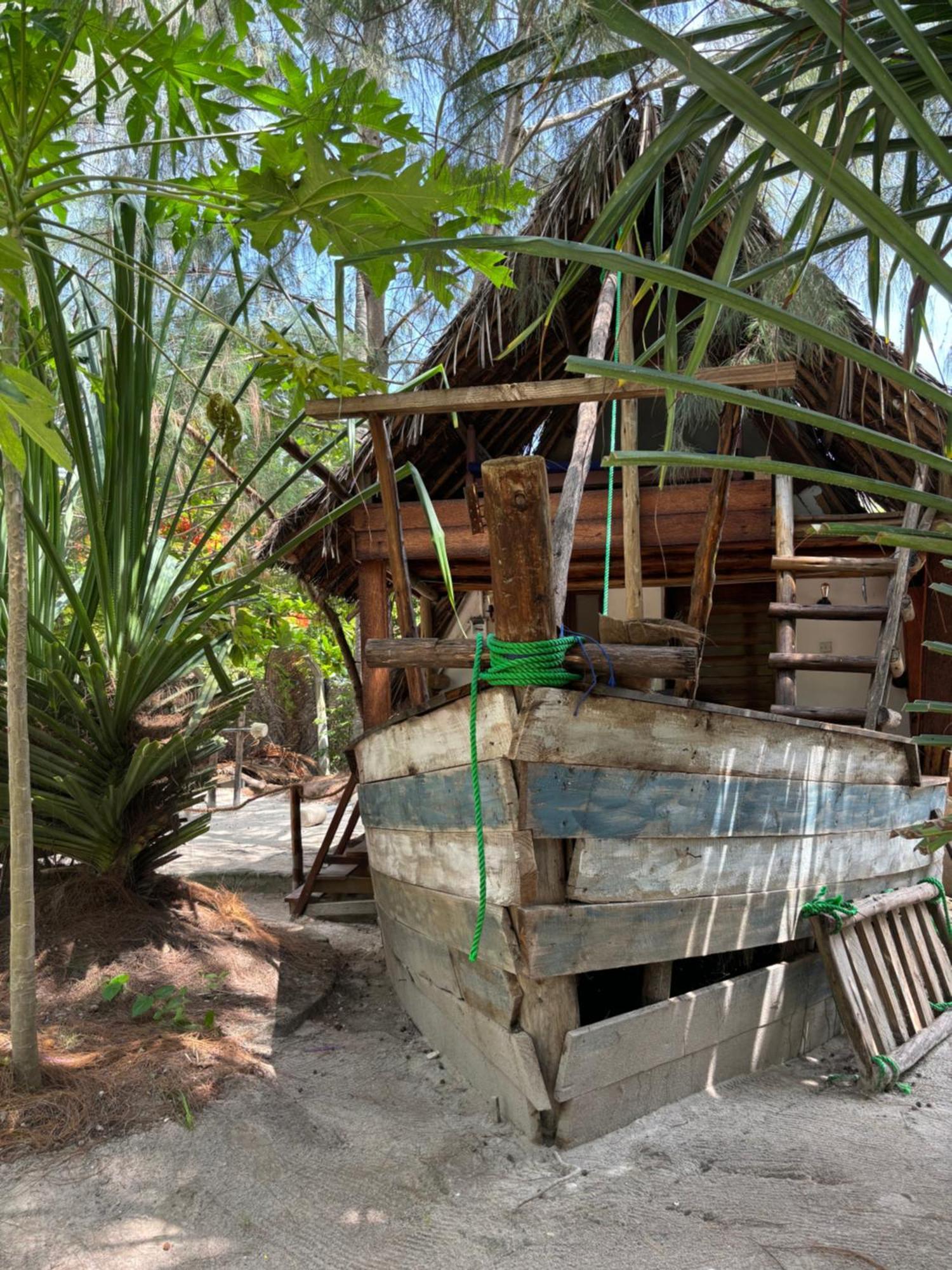 Dreamland Bungalows Michamvi מראה חיצוני תמונה