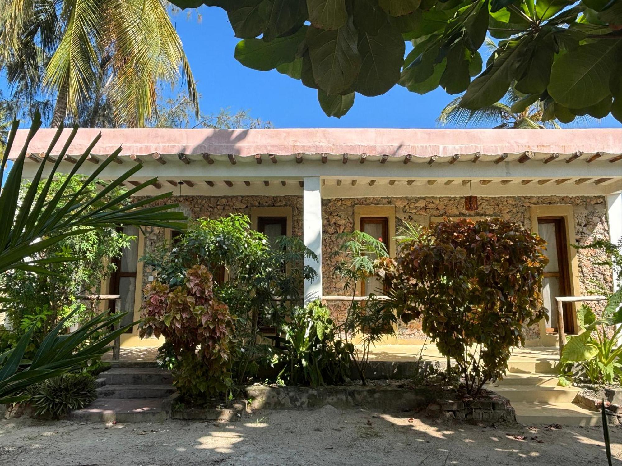 Dreamland Bungalows Michamvi מראה חיצוני תמונה